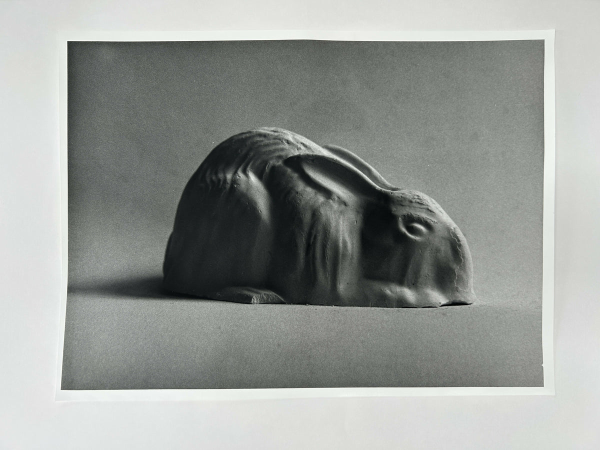 Learning to live without (individual prints, rabbits 1-10)