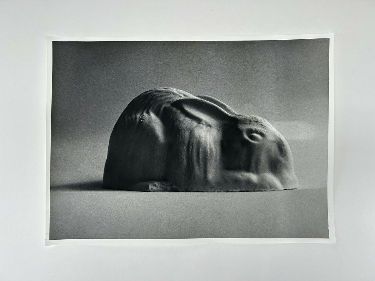 Learning to live without (individual prints, rabbits 1-10)