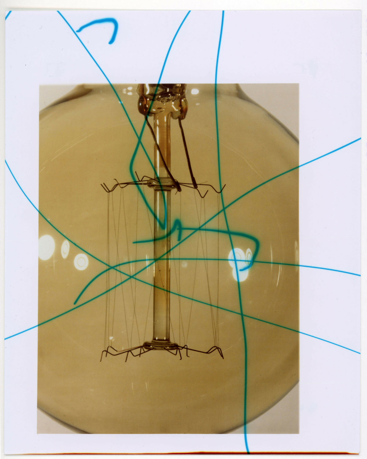 Bulb, 2026