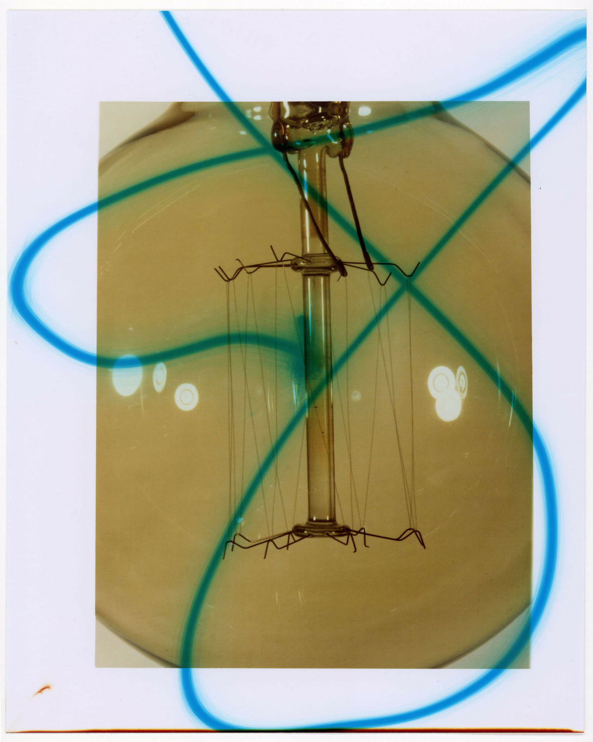 Bulb, 2026