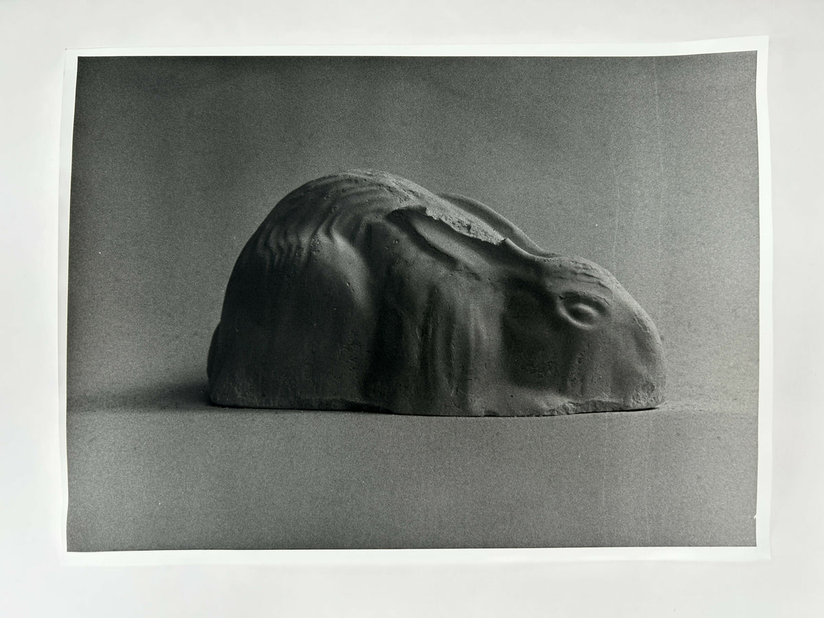 Learning to live without (individual prints, rabbits 11-20)