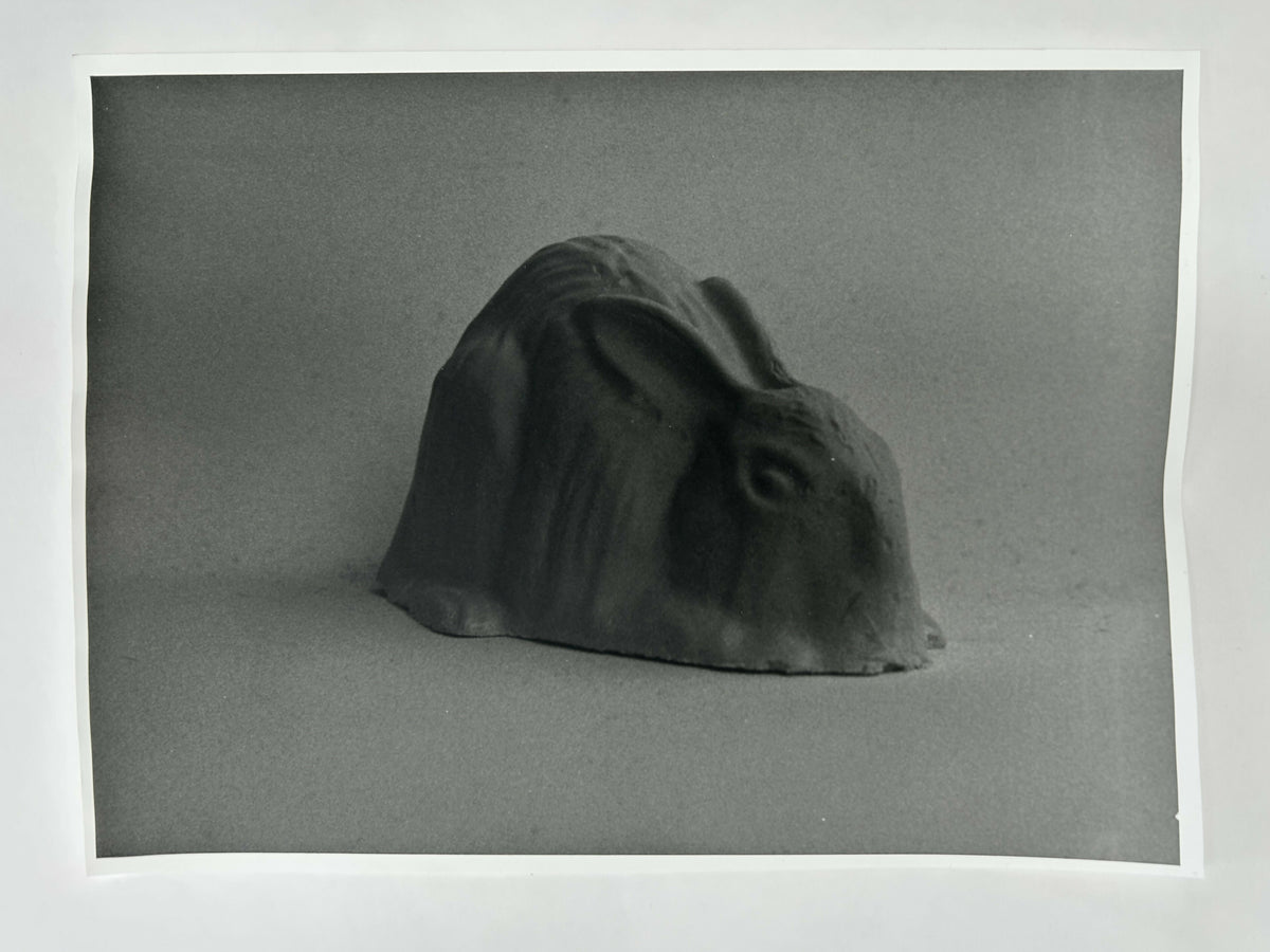 Learning to live without (individual prints, rabbits 31-39)