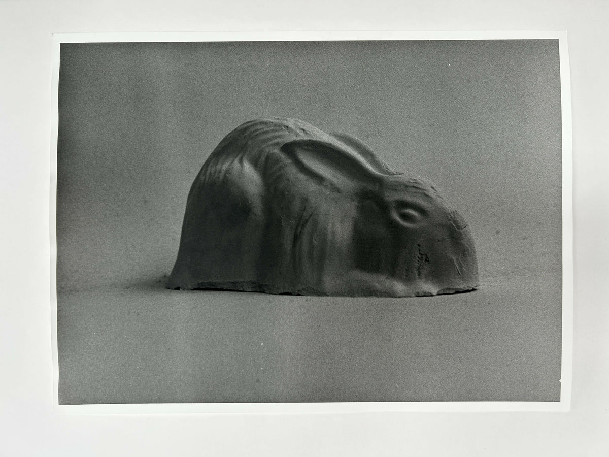 Learning to live without (individual prints, rabbits 11-20)