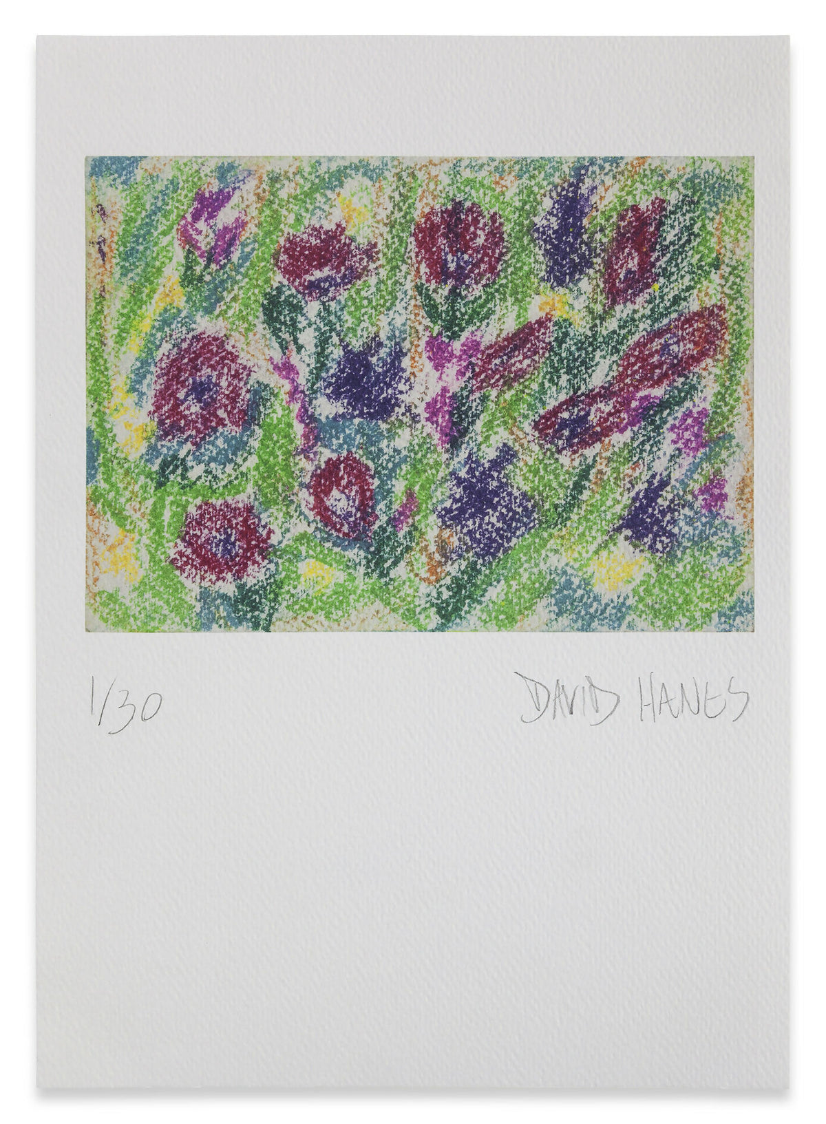Wildflowers