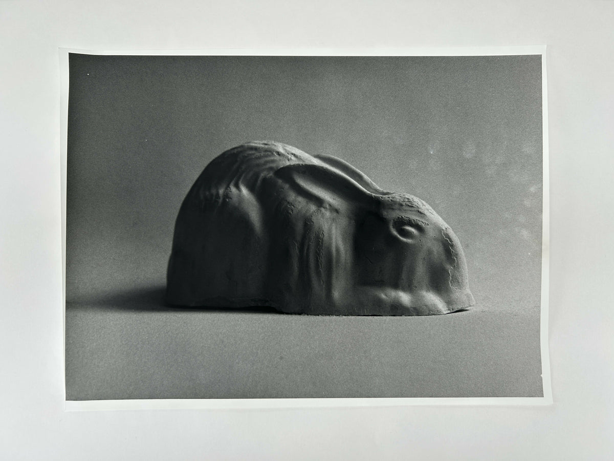 Learning to live without (individual prints, rabbits 1-10)
