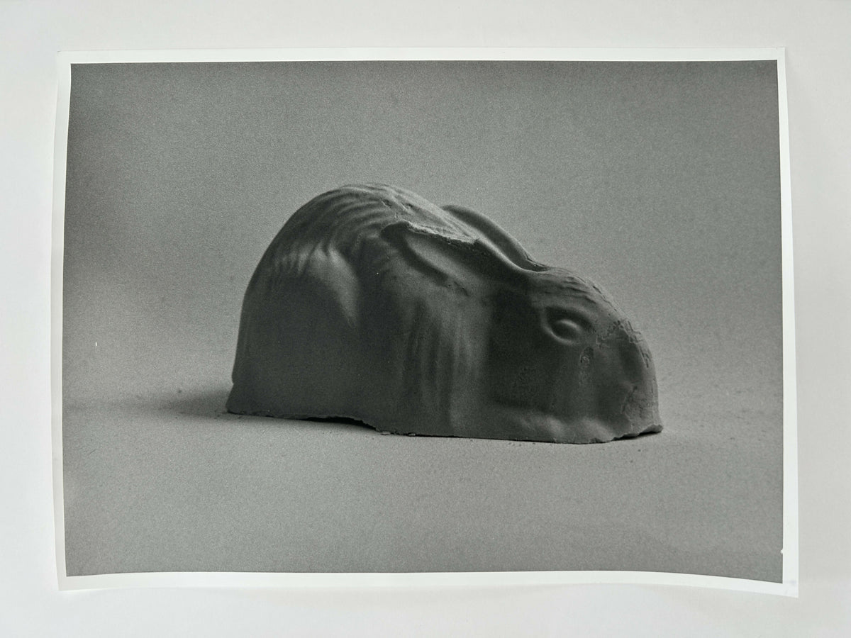 Learning to live without (individual prints, 21-30)
