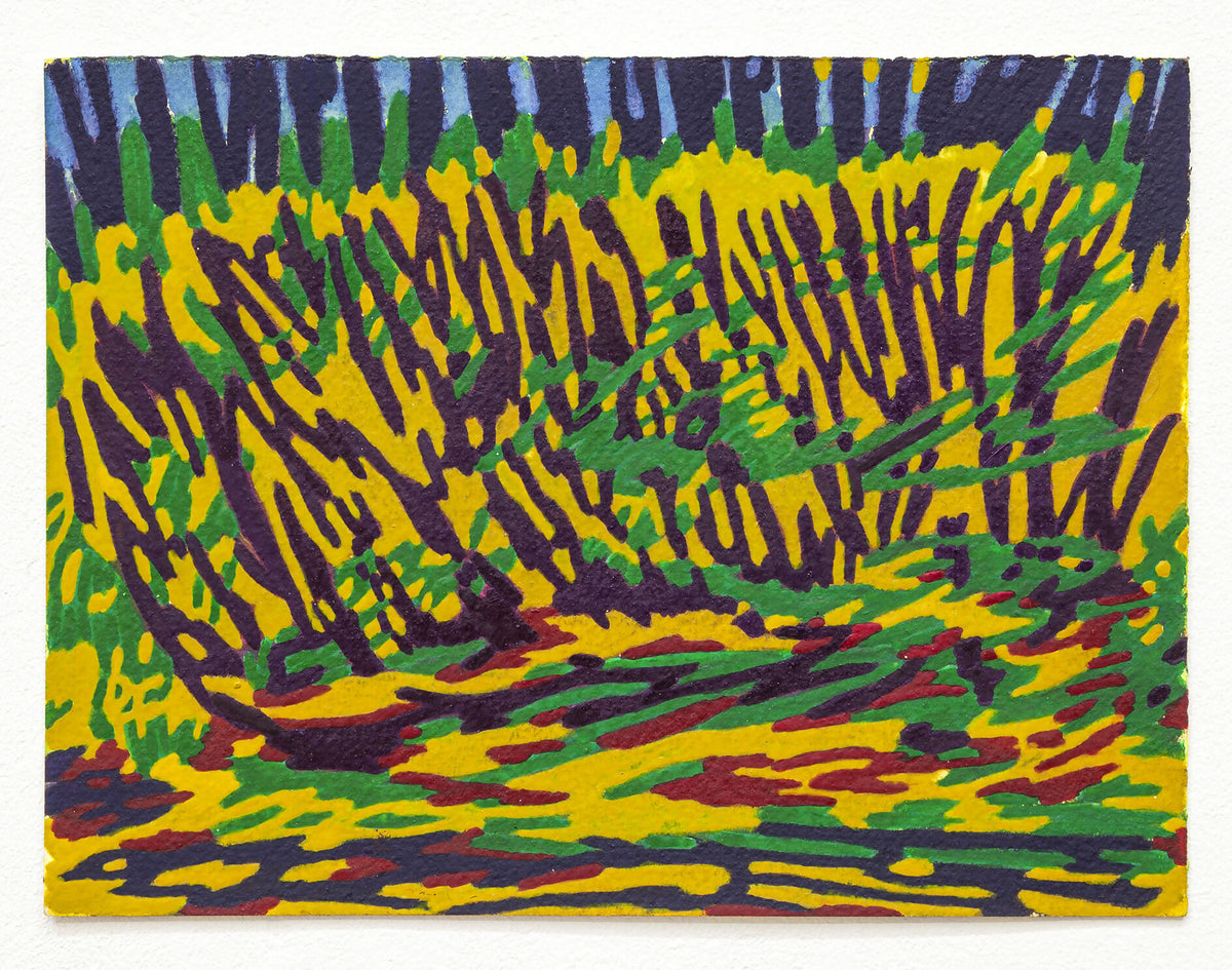 In The Bush