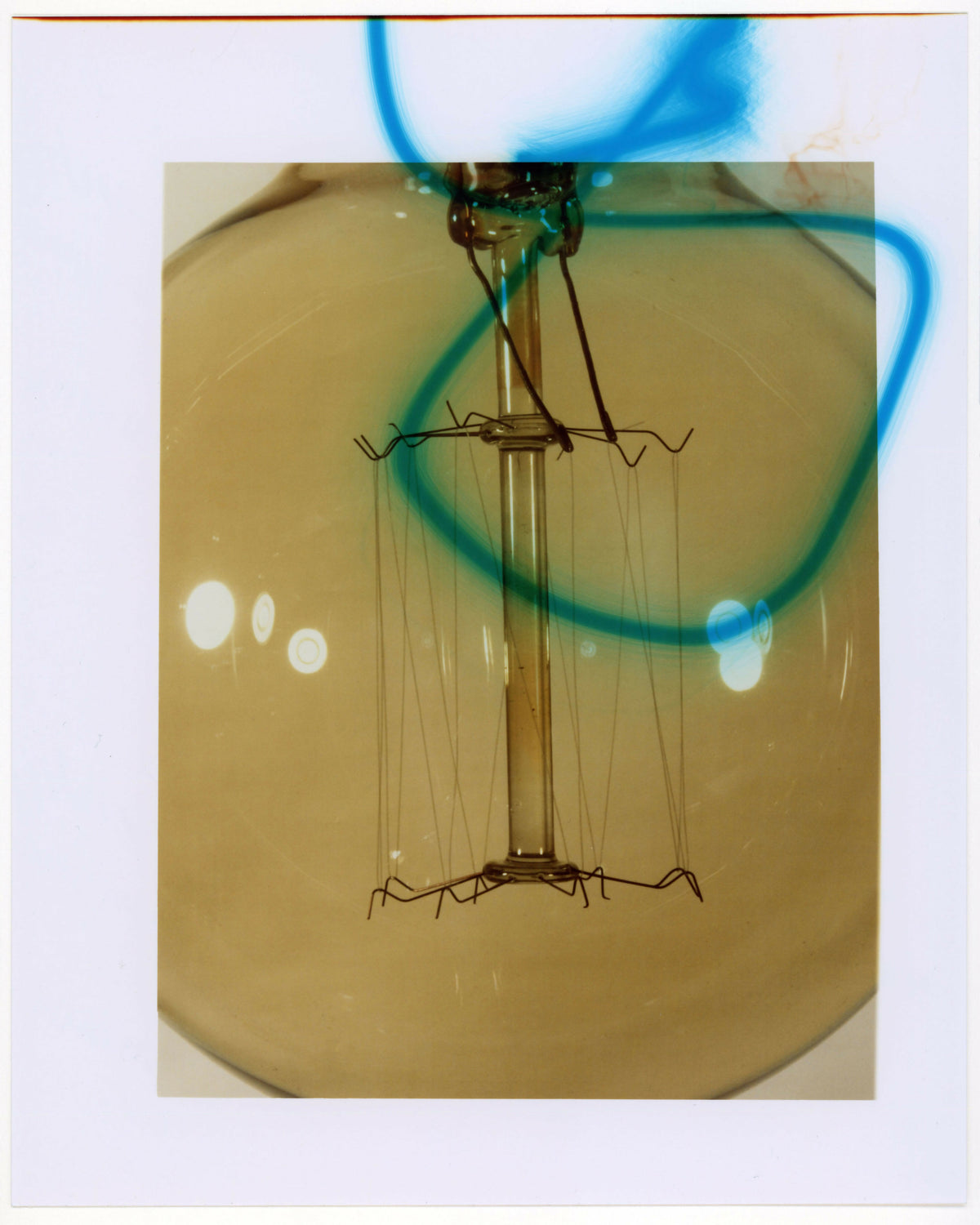 Bulb, 2026