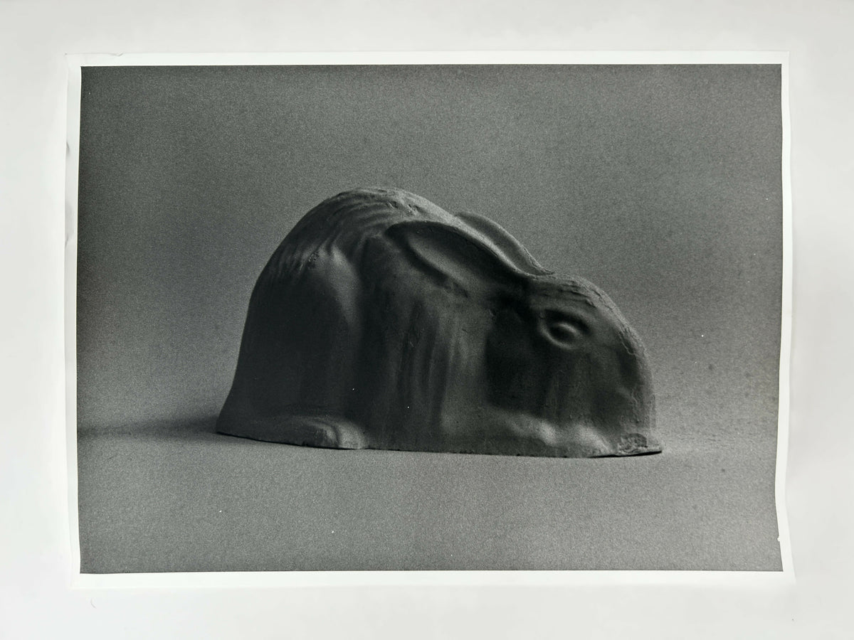 Learning to live without (individual prints, rabbits 11-20)