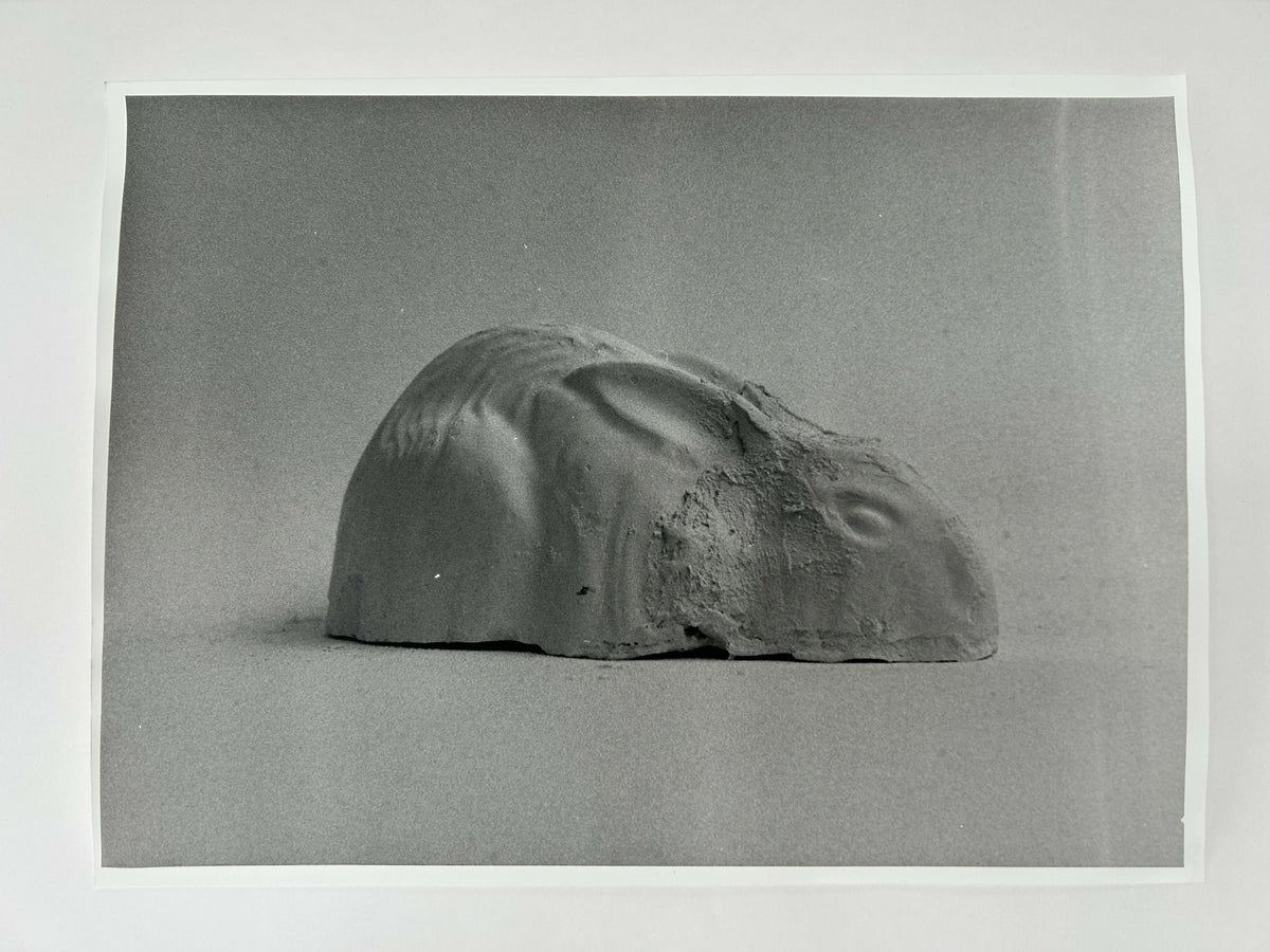 Learning to live without (individual prints, rabbits 11-20)