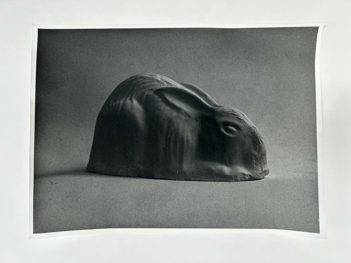 Learning to live without (individual prints, rabbits 31-39)