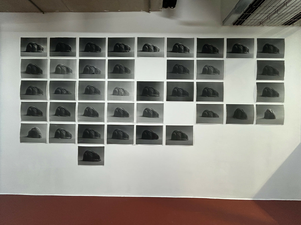 Learning to live without (full set of 39 prints)