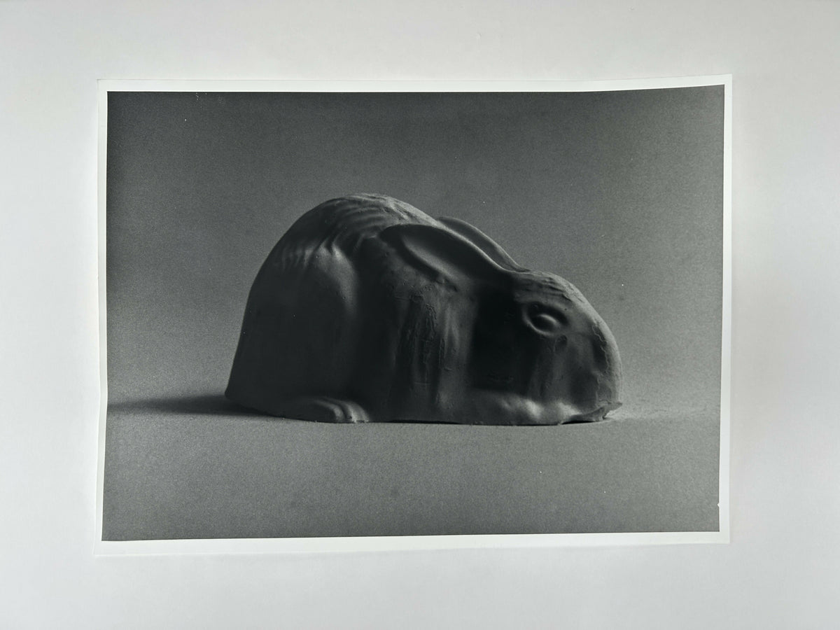 Learning to live without (individual prints, rabbits 1-10)
