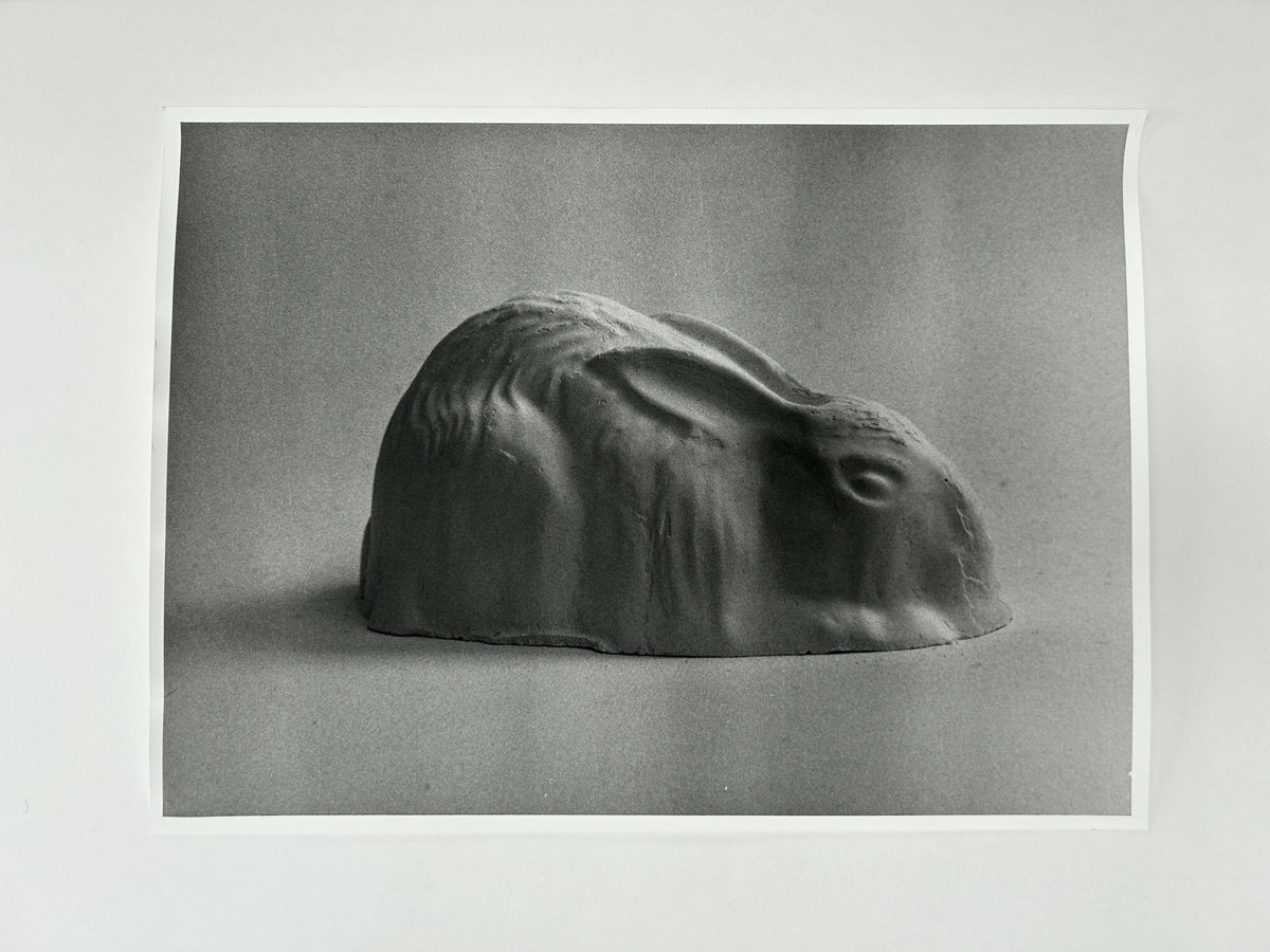 Learning to live without (individual prints, rabbits 11-20)