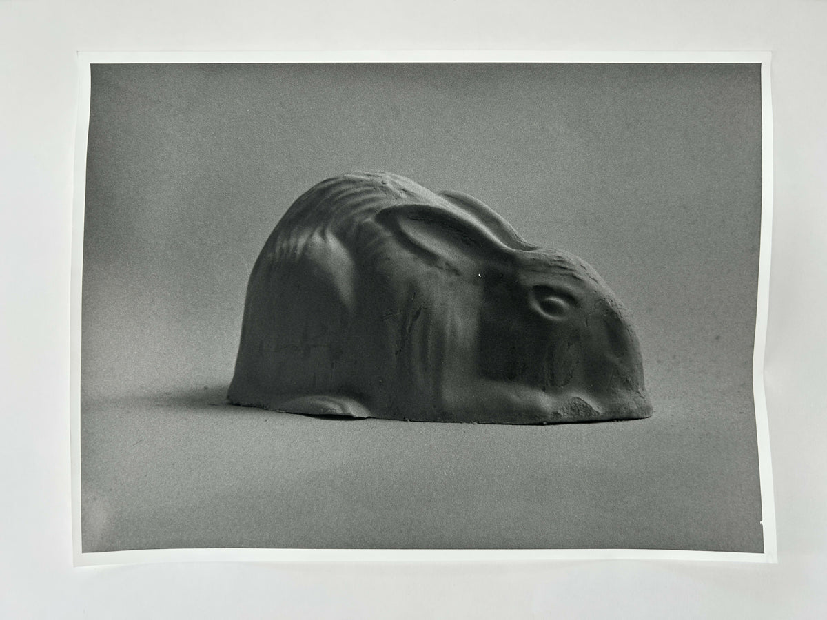 Learning to live without (individual prints, 21-30)