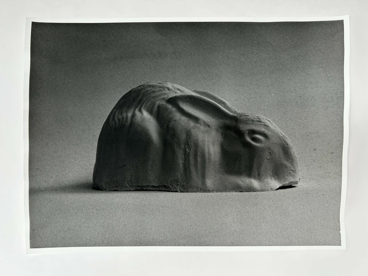 Learning to live without (individual prints, rabbits 11-20)