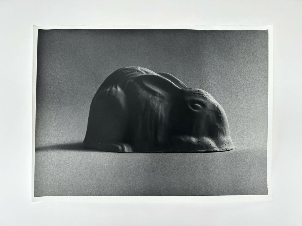 Learning to live without (individual prints, rabbits 1-10)
