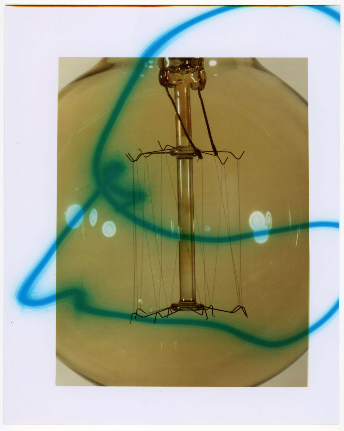 Bulb, 2026
