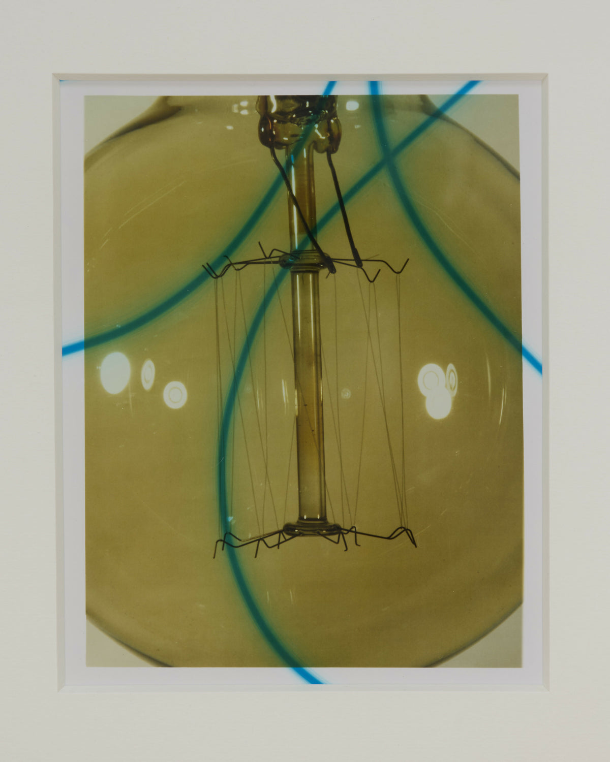Bulb, 2026