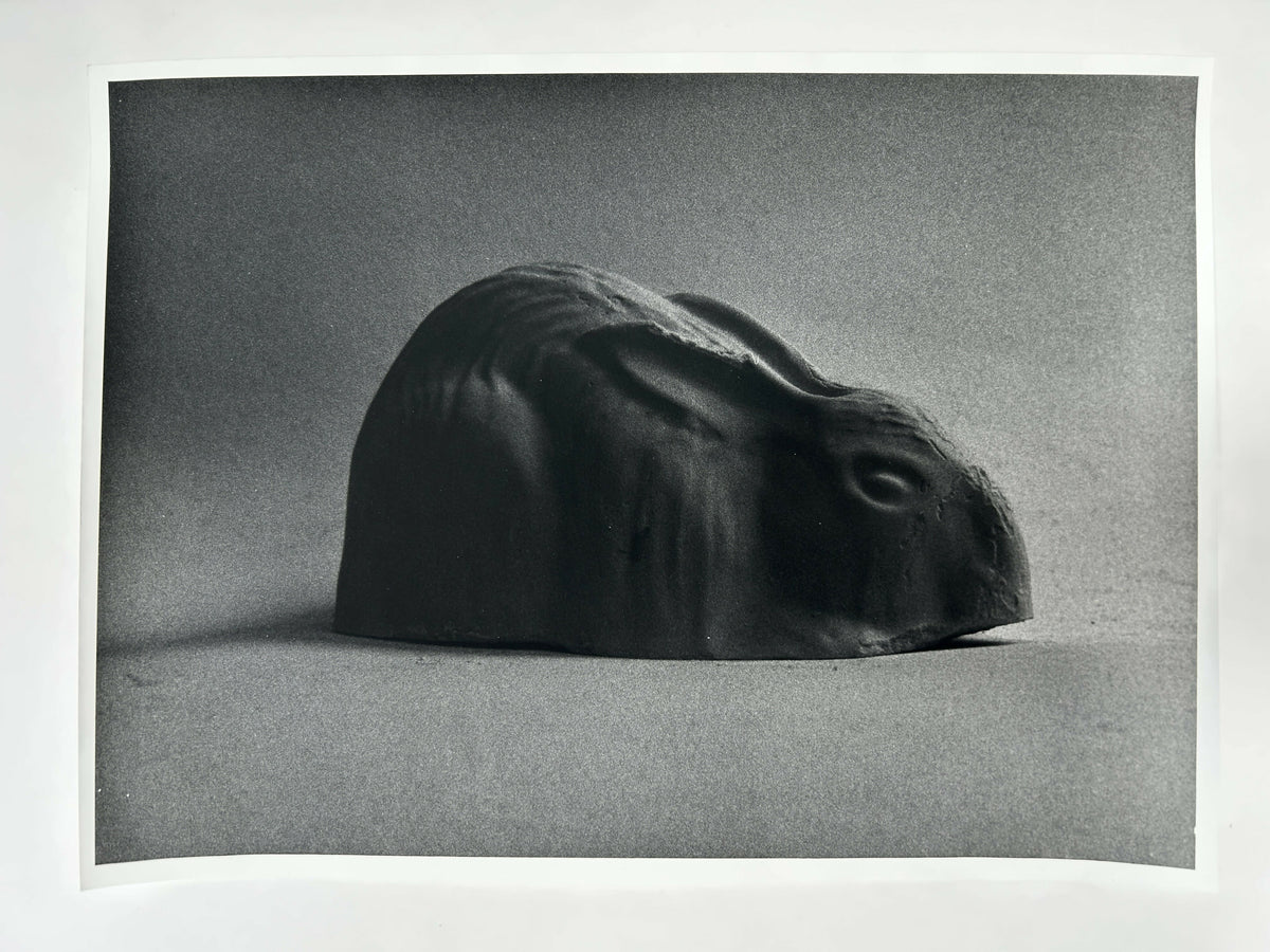 Learning to live without (individual prints, rabbits 31-39)