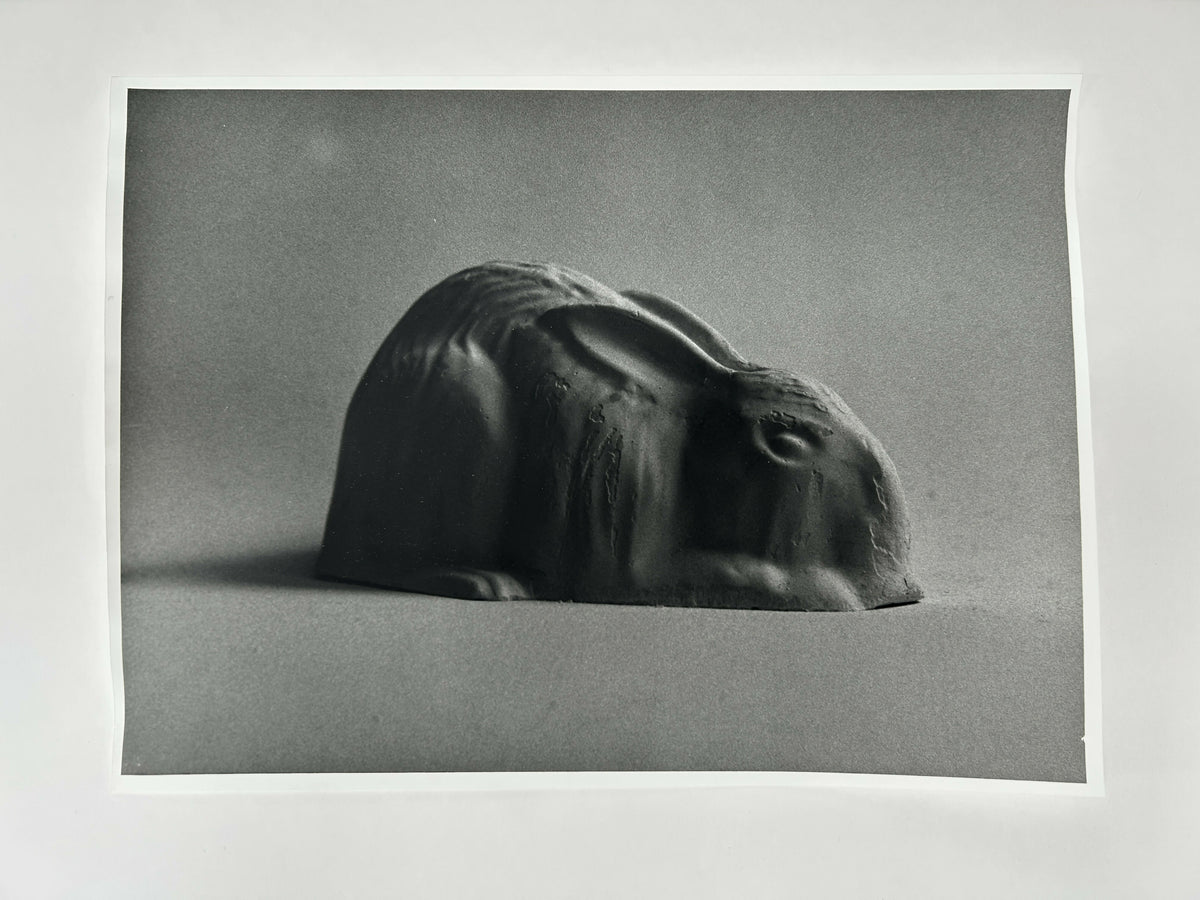Learning to live without (individual prints, rabbits 1-10)