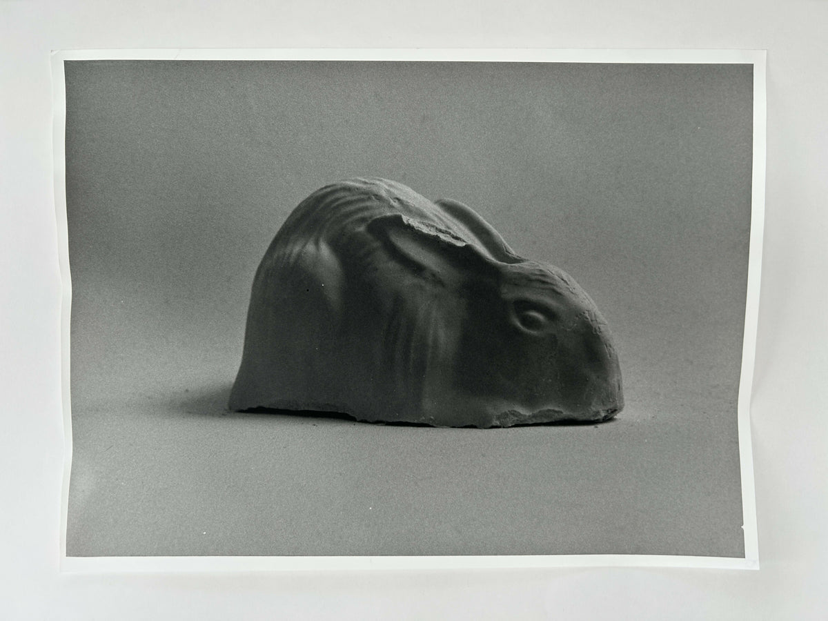 Learning to live without (individual prints, 21-30)