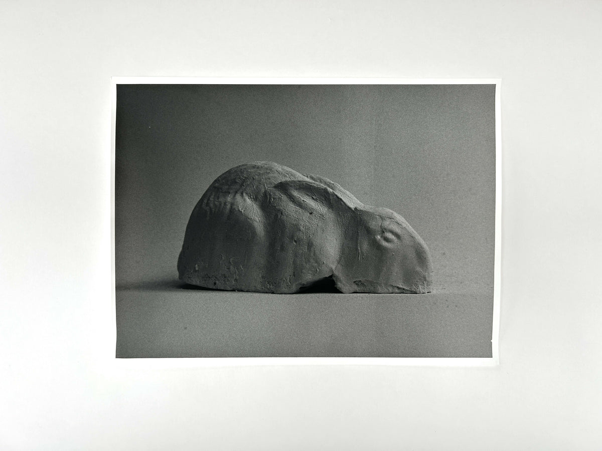 Learning to live without (full set of 39 prints)
