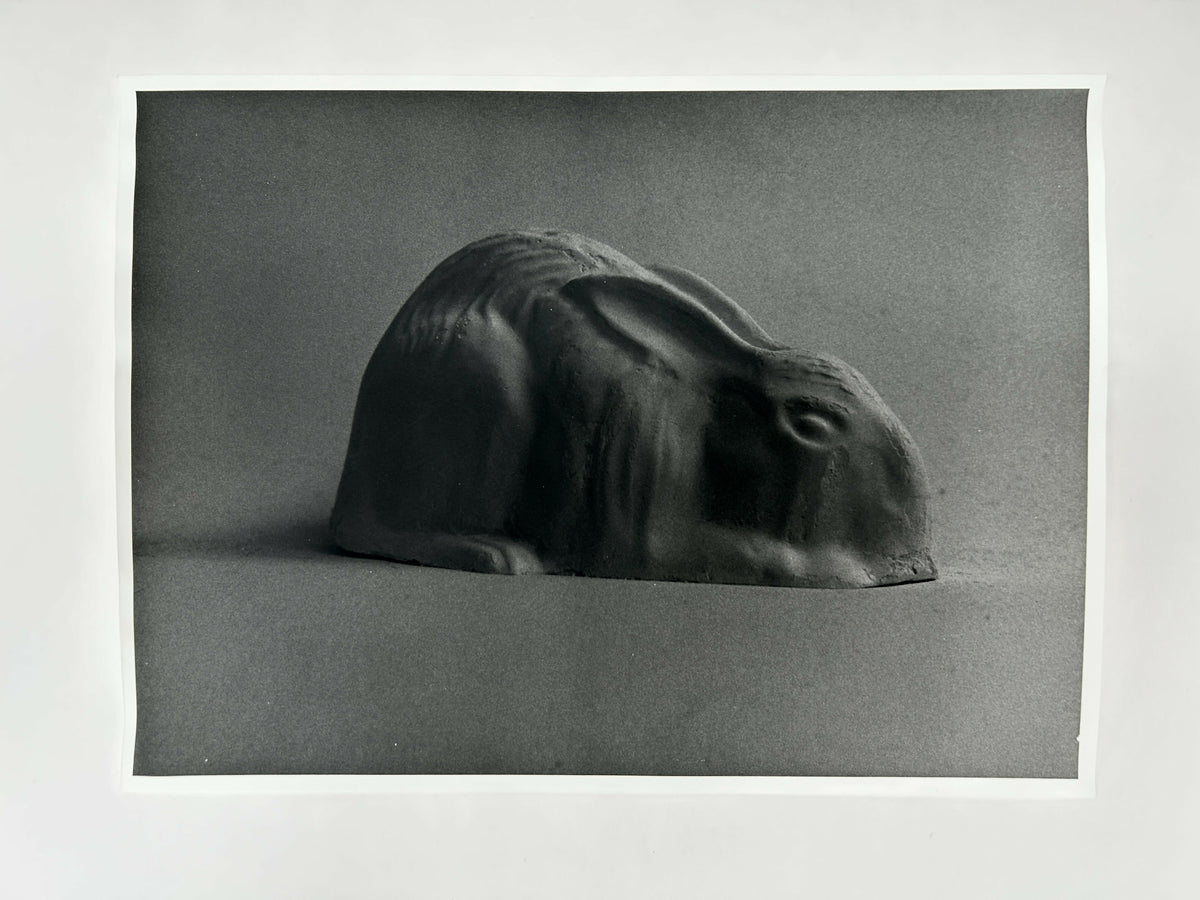Learning to live without (individual prints, rabbits 11-20)