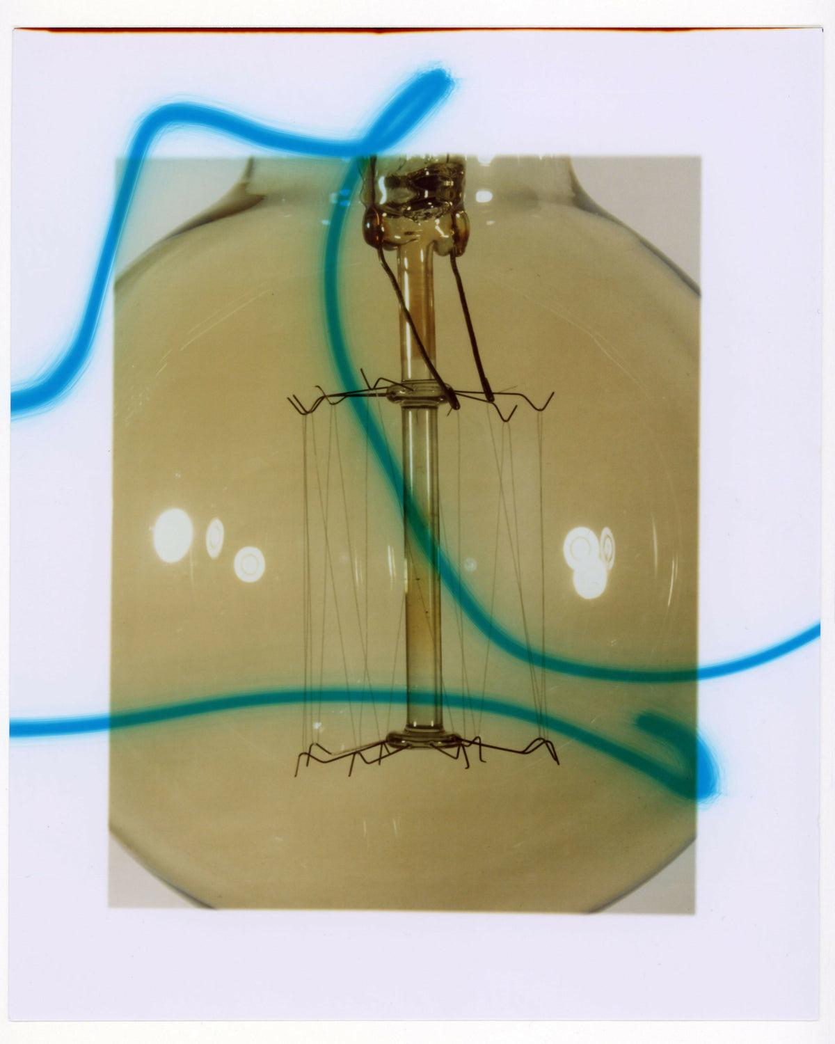 Bulb, 2026