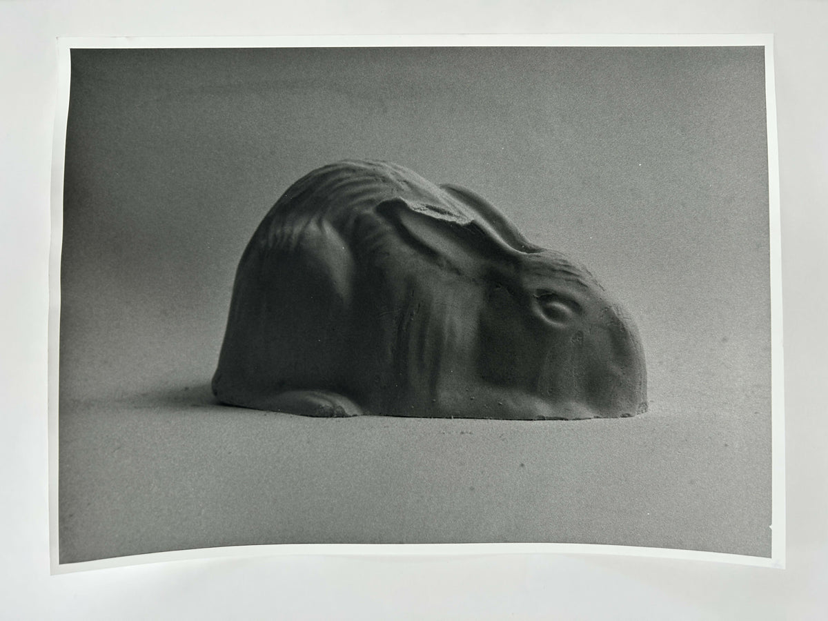 Learning to live without (individual prints, 21-30)