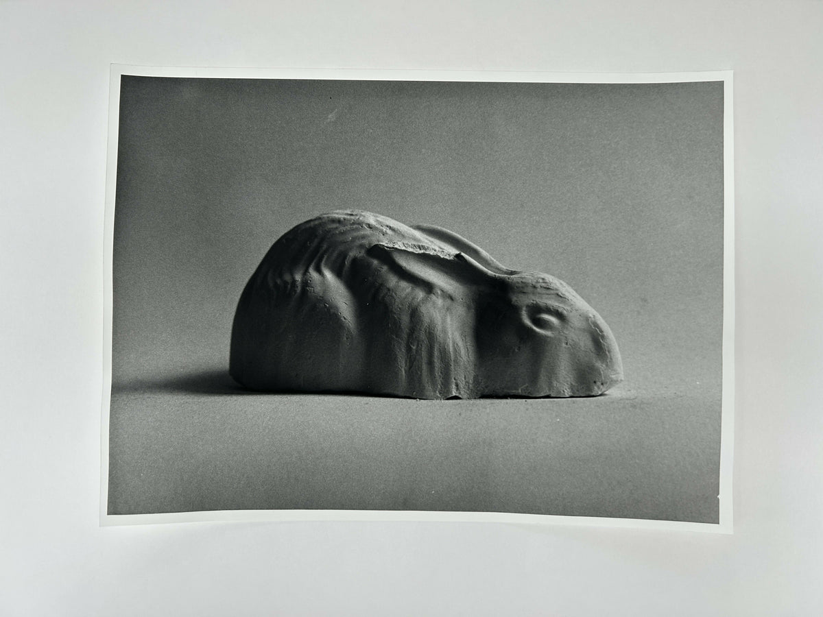 Learning to live without (individual prints, rabbits 1-10)