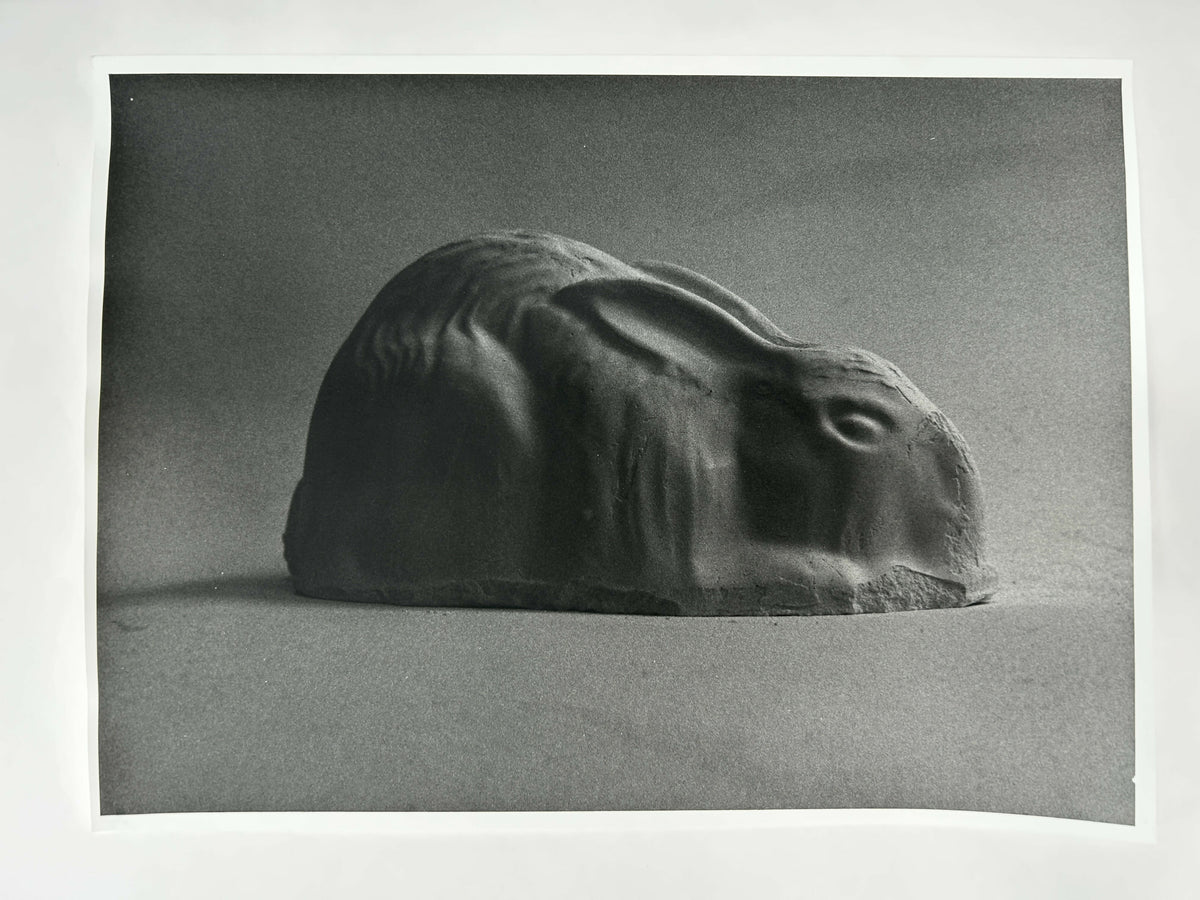 Learning to live without (individual prints, rabbits 31-39)
