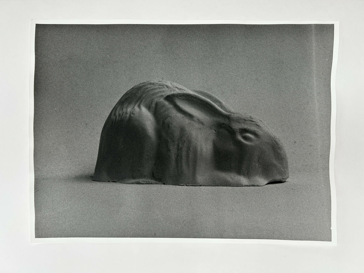 Learning to live without (individual prints, rabbits 11-20)