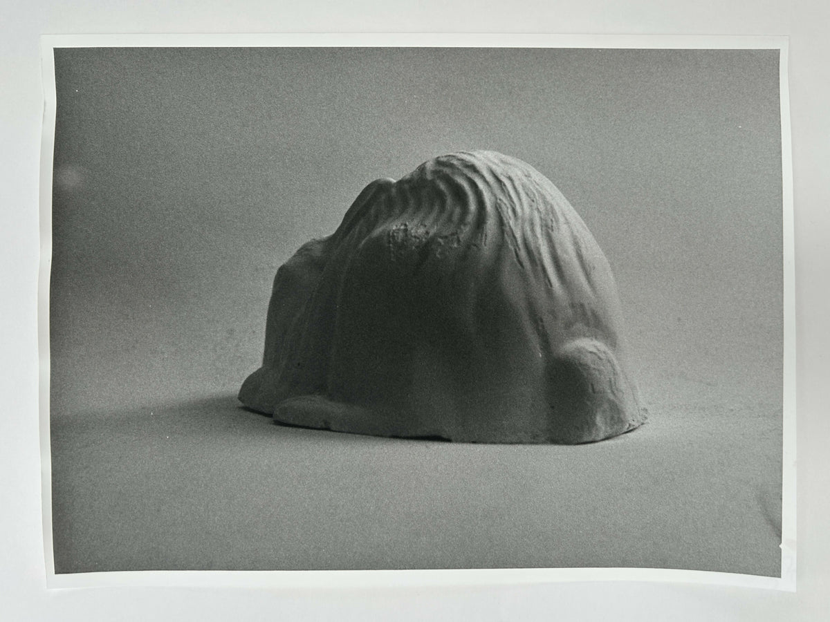Learning to live without (individual prints, rabbits 31-39)
