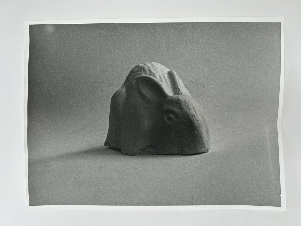 Learning to live without (individual prints, rabbits 31-39)