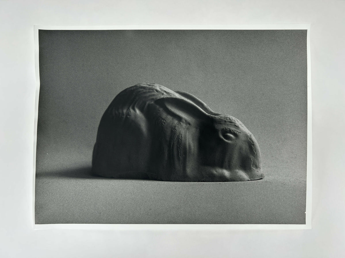 Learning to live without (individual prints, rabbits 1-10)