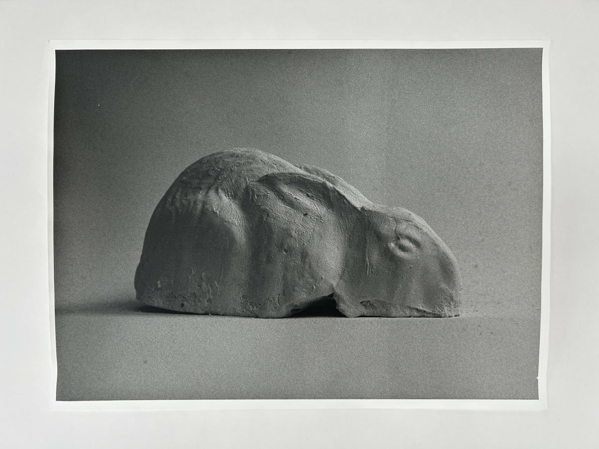 Learning to live without (individual prints, rabbits 11-20)