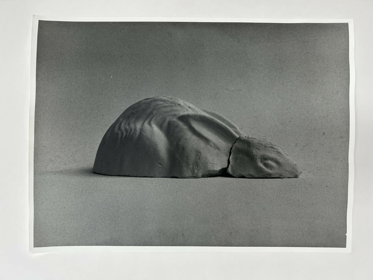 Learning to live without (individual prints, rabbits 11-20)