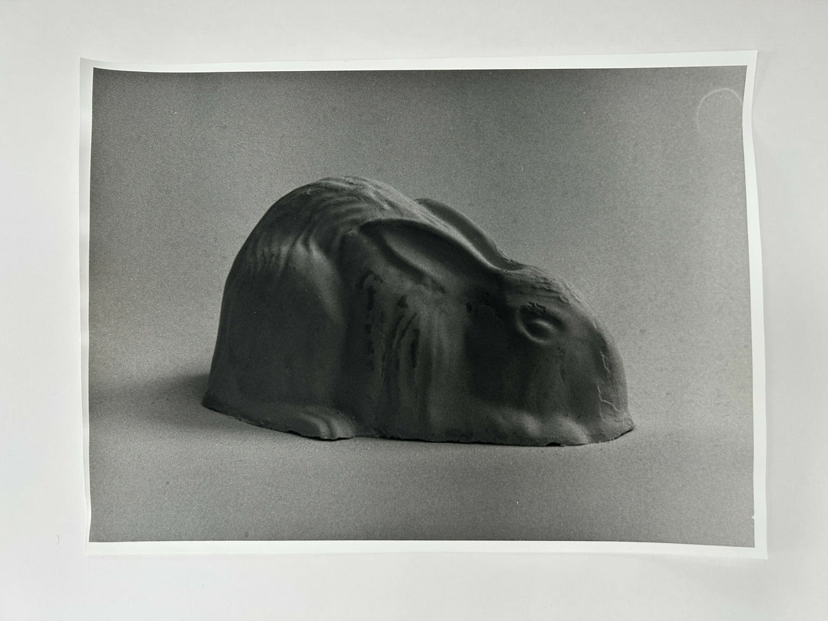 Learning to live without (individual prints, rabbits 1-10)