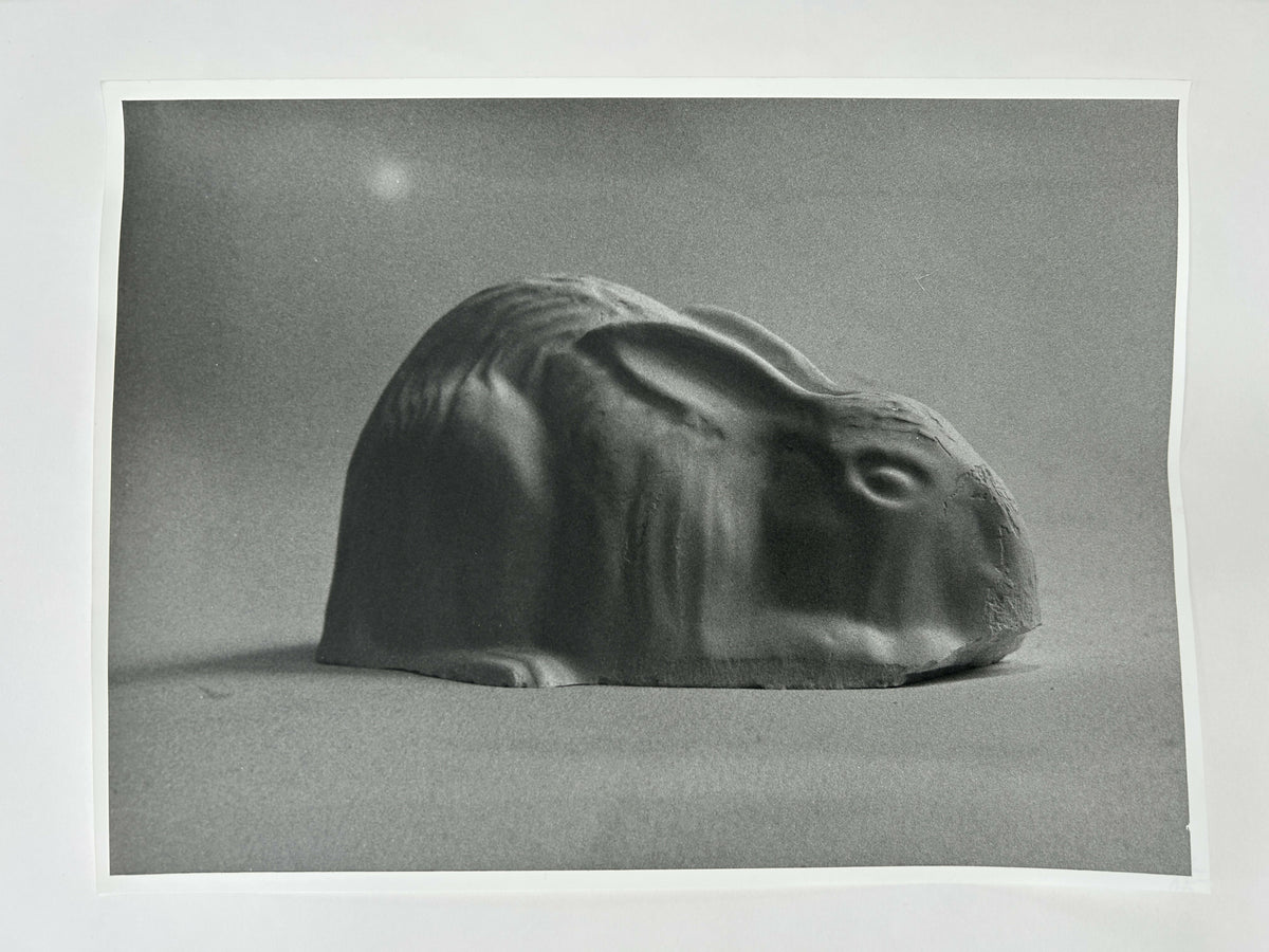 Learning to live without (individual prints, rabbits 31-39)