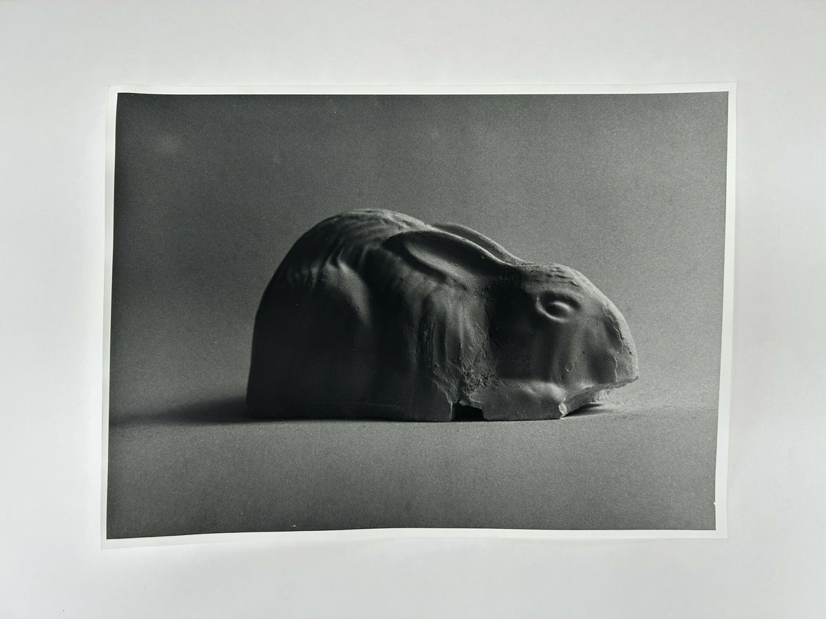 Learning to live without (individual prints, rabbits 1-10)