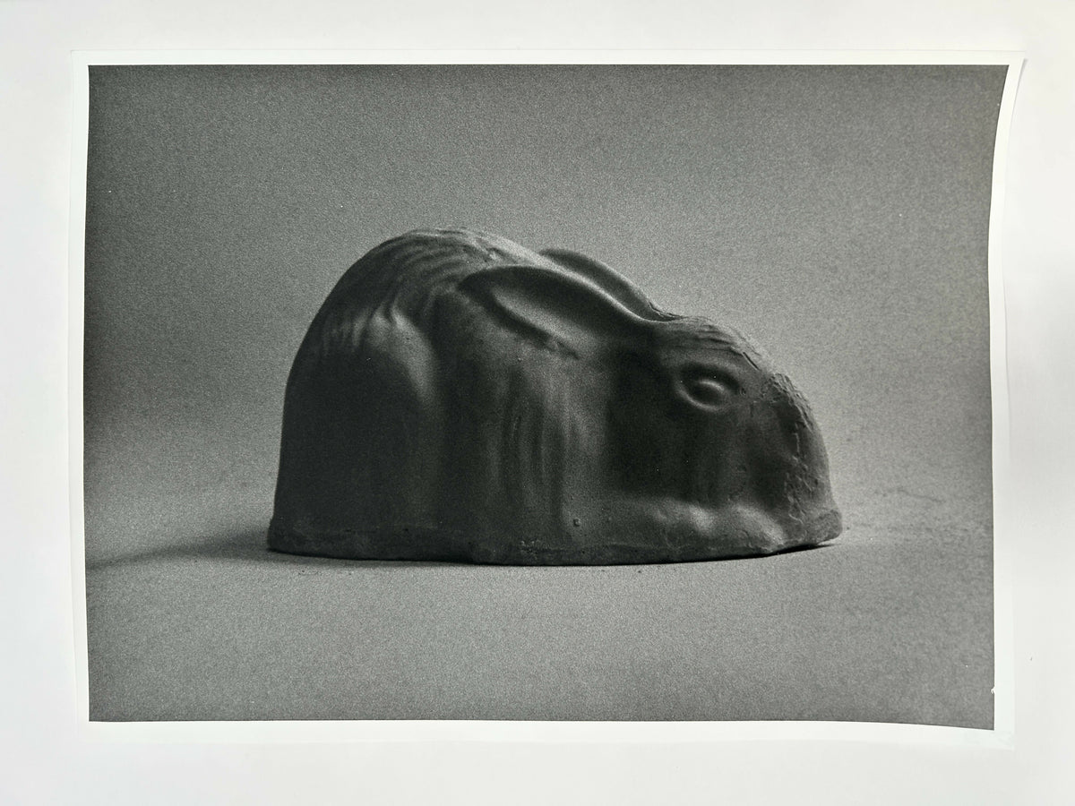 Learning to live without (individual prints, rabbits 31-39)