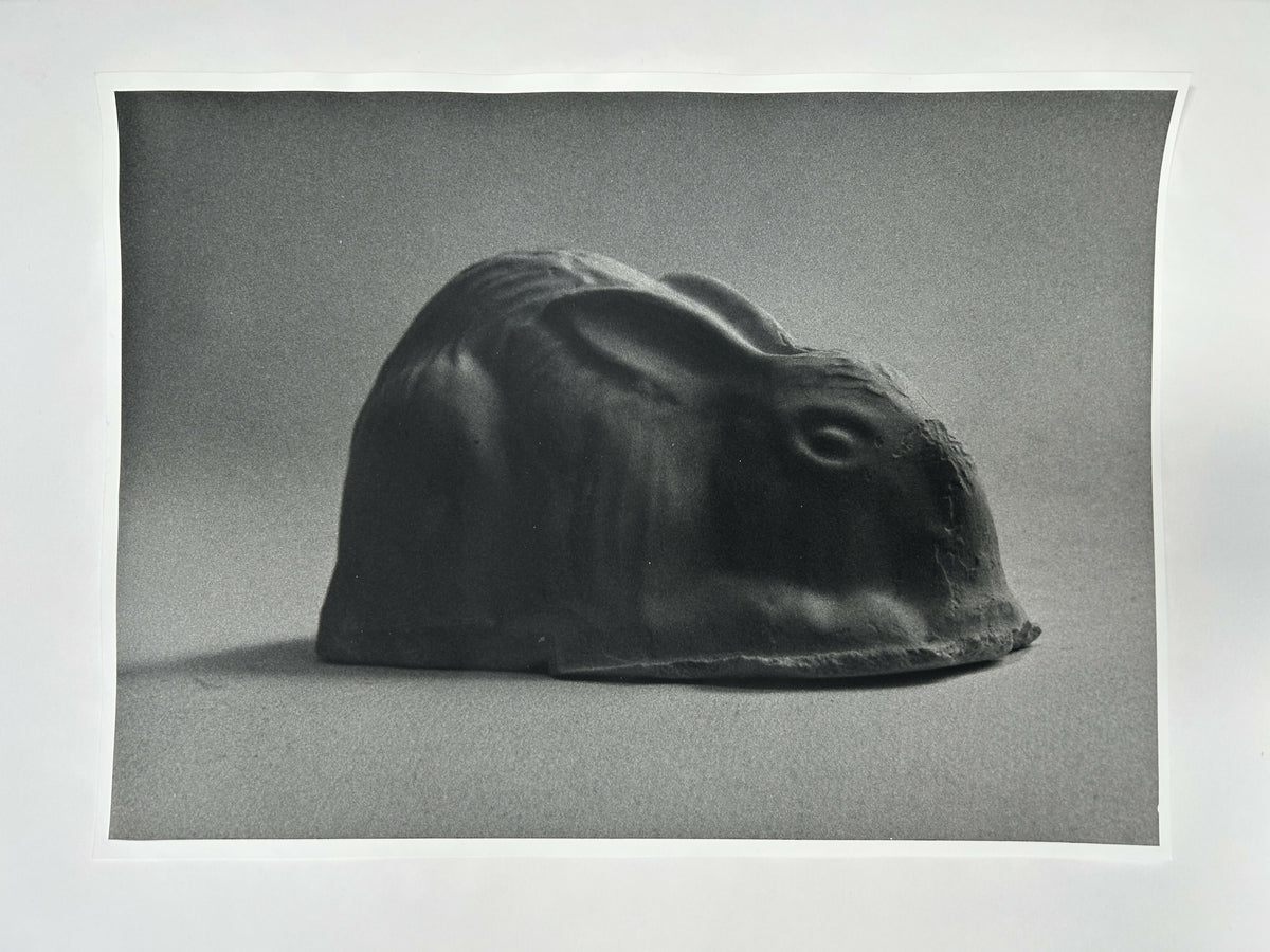 Learning to live without (individual prints, rabbits 31-39)